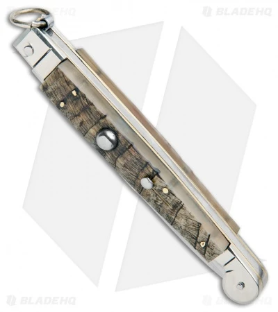 AGA Campolin 9" Sicilian Ring Pull Automatic Ram Horn (4.1" Satin Bayo) 2 AGA Campolin 9" Sicilian Ring Pull Automatic Ram Horn (4.1" Satin Bayo) - Image 2