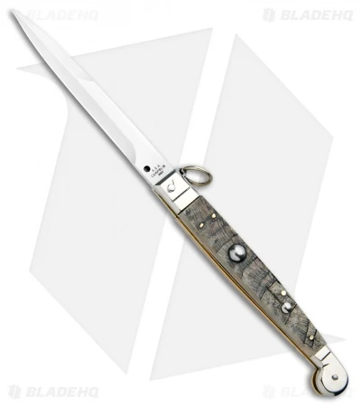 AGA Campolin 9" Sicilian Ring Pull Automatic Ram Horn (4.1" Satin Bayo) 1 AGA Campolin 9" Sicilian Ring Pull Automatic Ram Horn (4.1" Satin Bayo)